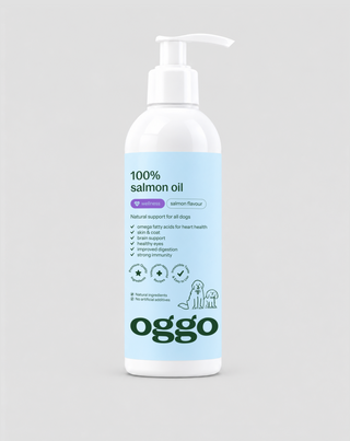 Lososový olej pro psy Omega-3 EPA a DHA na srdce, mozek a imunitu Oggo 250 ml - 1