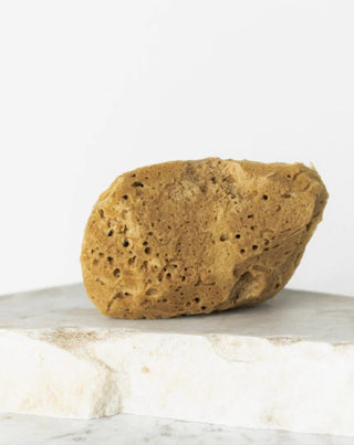 Přírodní mořská houba hnědá 9,5 cm 02F hypoalergenní a antibakteriální Hhuumm - 2