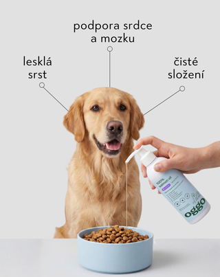 Lososový olej 100% doplňkové krmivo pro psy na imunitu a energii Oggo 250 ml - 3