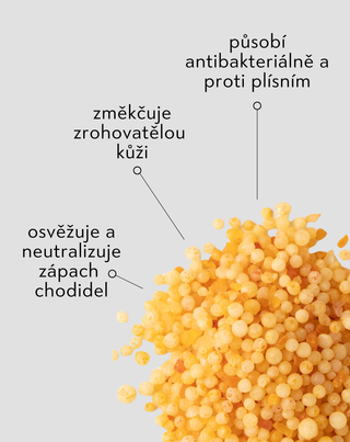 Sůl do koupele nohou s močovinou 45 % a eukalyptem Nutridome - 2