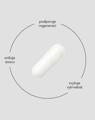 Beta-alanin 700 mg pro výkonnost a snížení svalové únavy Nutridome, 60 kapslí - 2