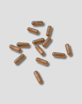 extrakt z listů ginkgo biloba nutridome 60 ks_2 - 2