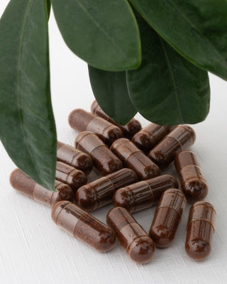 Astaxanthin extrakt z řasy Haematococcus pluvialis na cholesterol a záněty Nutridome 60 ks - 4